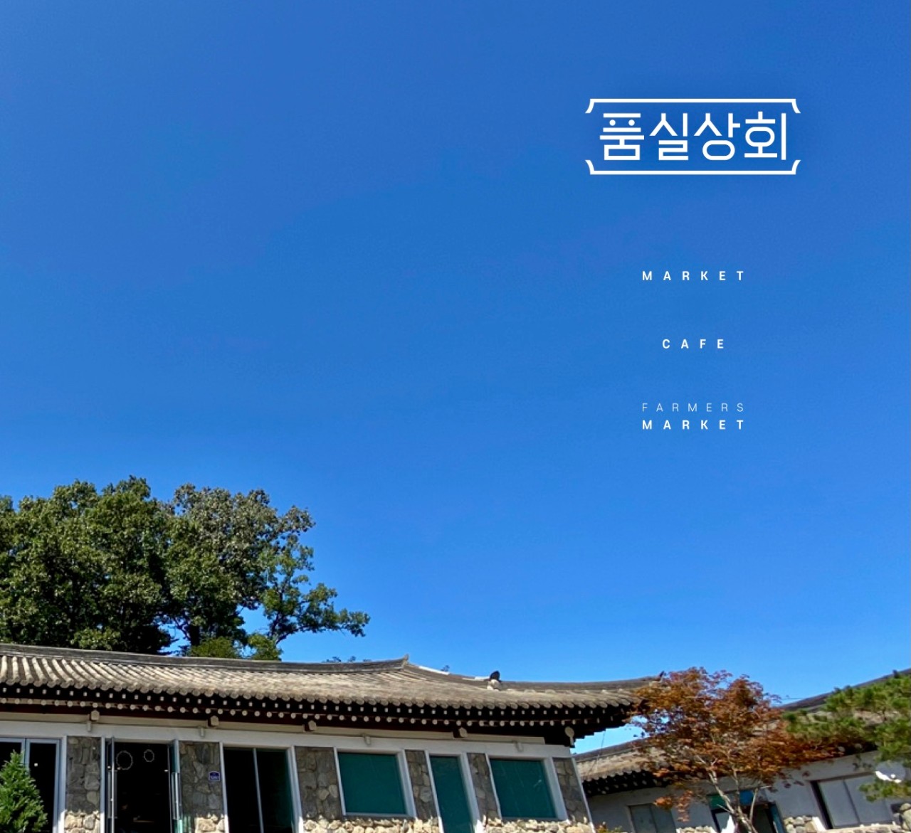 카페